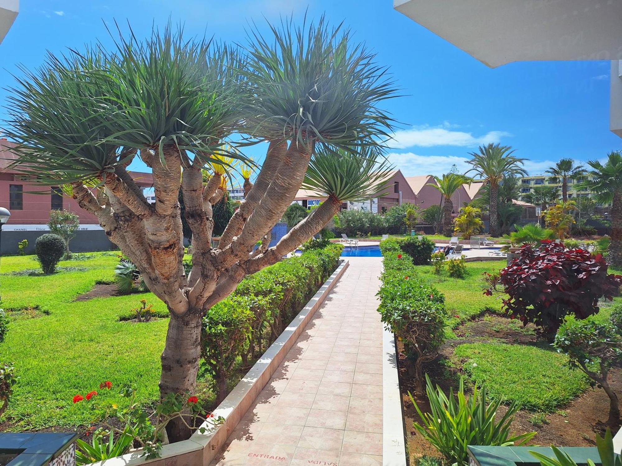 Stylish 2-Bedroom Apartment Yumbo Maspalomas  Exterior foto